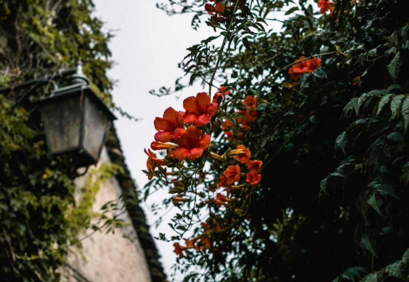 Beautifully arranged fresh flowers showcasing the quality and craftsmanship available to reseller partners